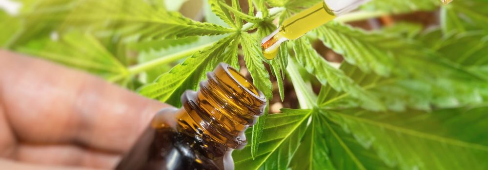 CBD Therapy, the best choice when buying Cannabis Online
